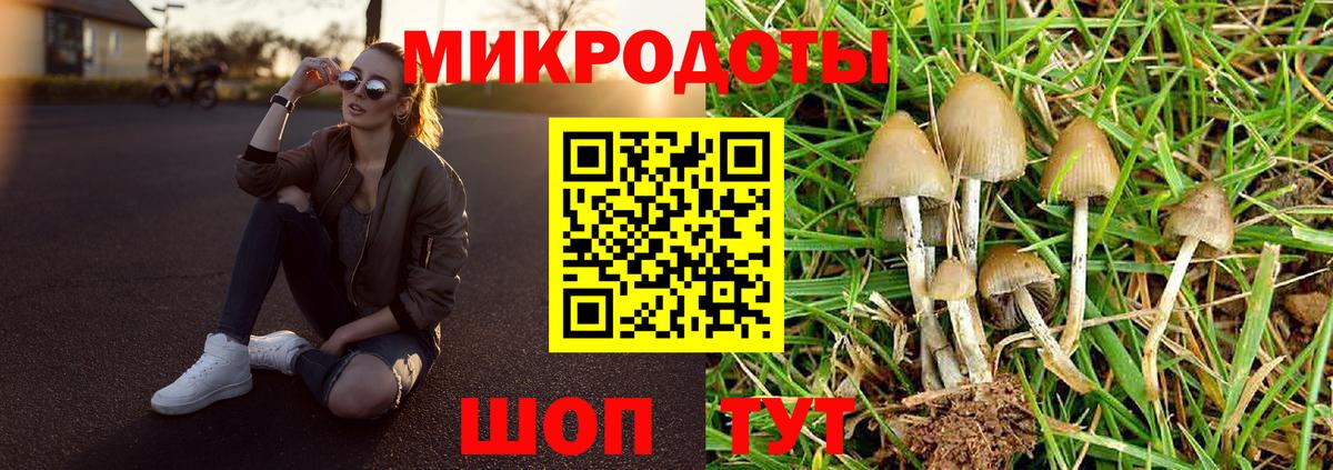 Куйбышев  Галлюциногенные грибы мицелий  Вход с VPN 