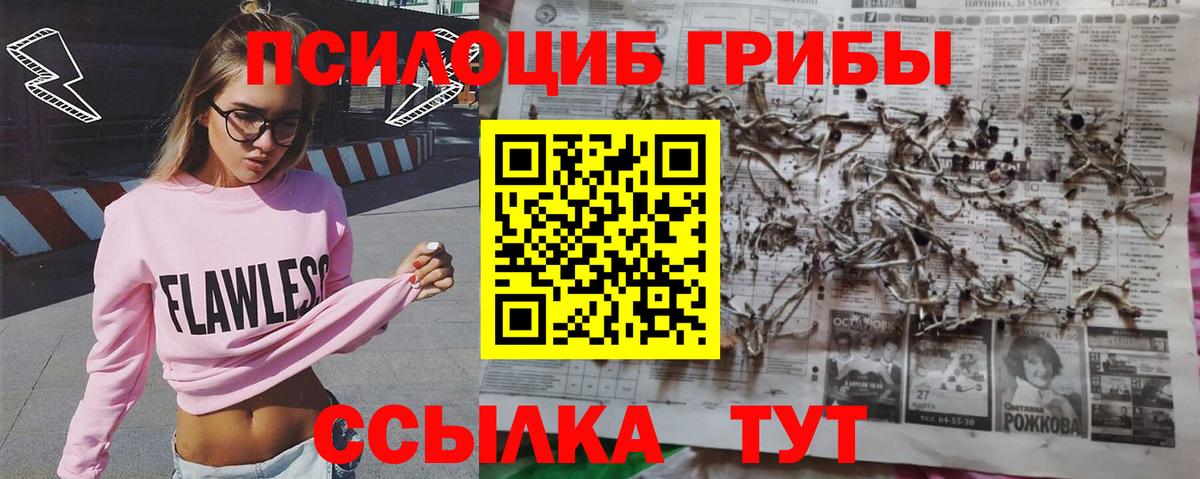 Галлюциногенные грибы Psilocybe Куйбышев